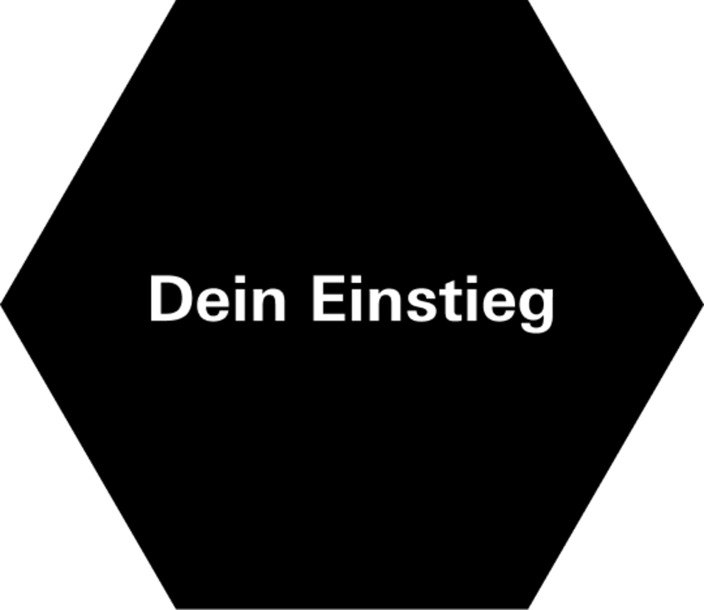 Text auf schwarzem Hintergrund: "Dein Einstieg".