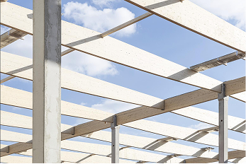 Blick auf die Holzstruktur eines Dachs mit hellem Himmel im Hintergrund.