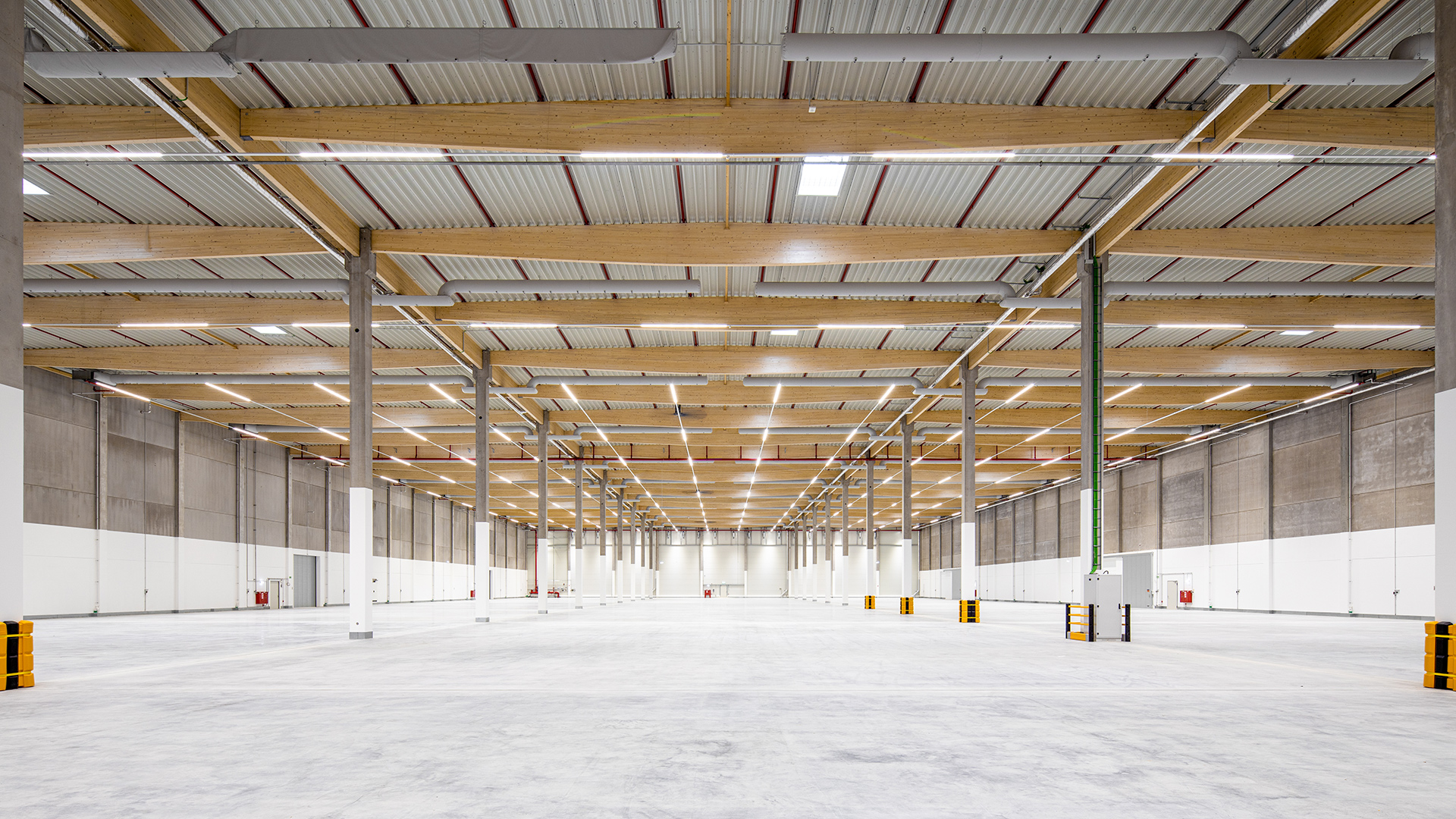 Großer, leerer Lagerraum mit hohen Decken, Holztramkonstruktion und gleichmäßiger Beleuchtung.