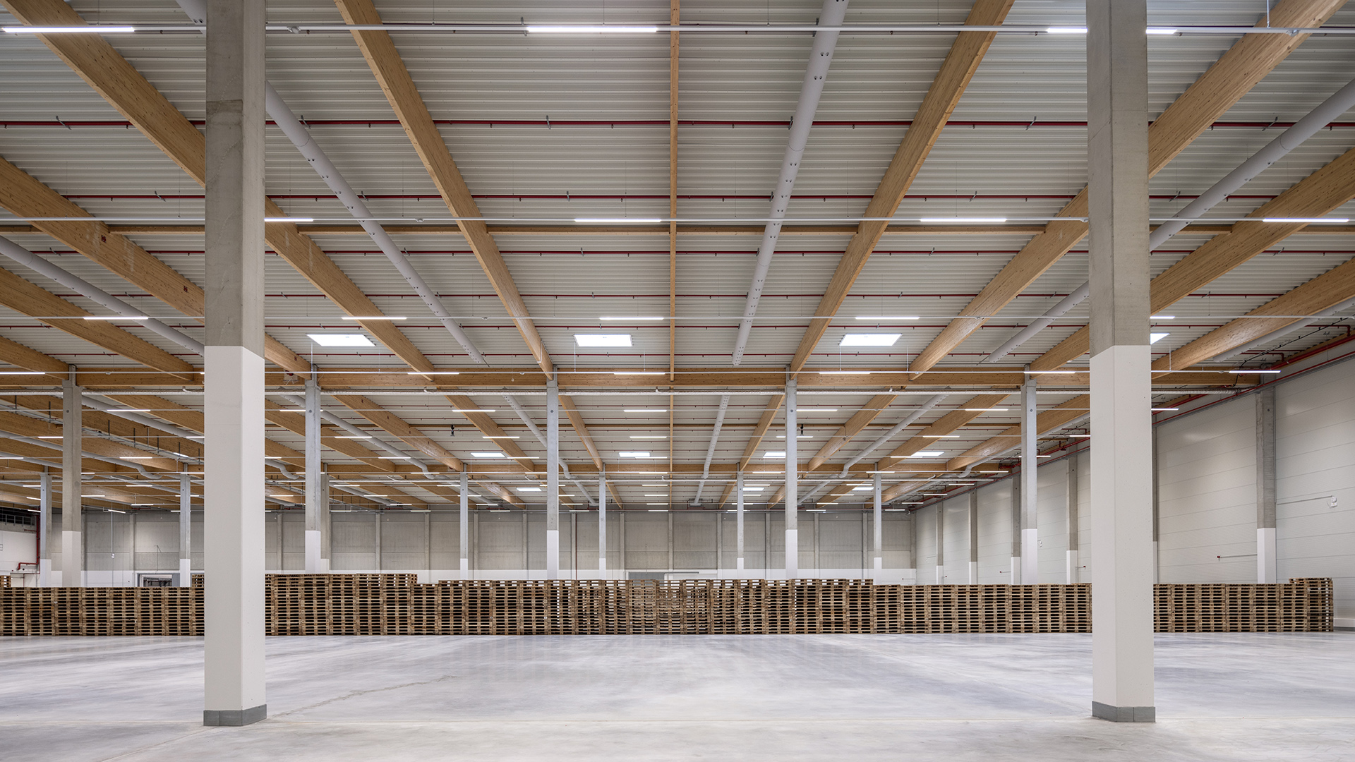 Ein helle Lagerhalle mit Holz- und Metallkonstruktionen, hohen Decken und einer Reihe von Holzpaletten im Hintergrund.