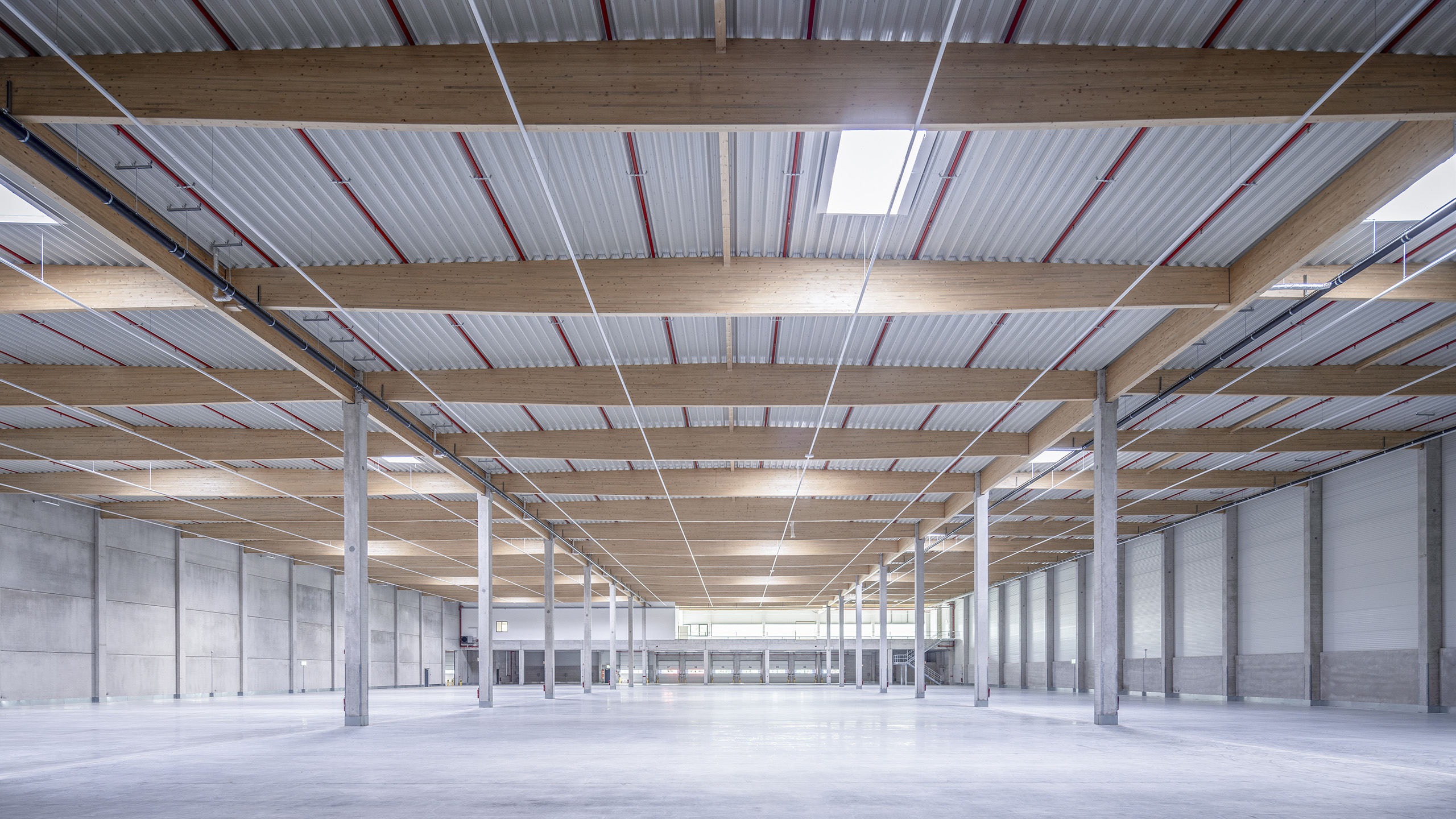 Heller, großer Raum mit hohen Holzdeckenbalken, Betonwänden und einem glatten Boden, ideal für Lager oder Veranstaltungen.