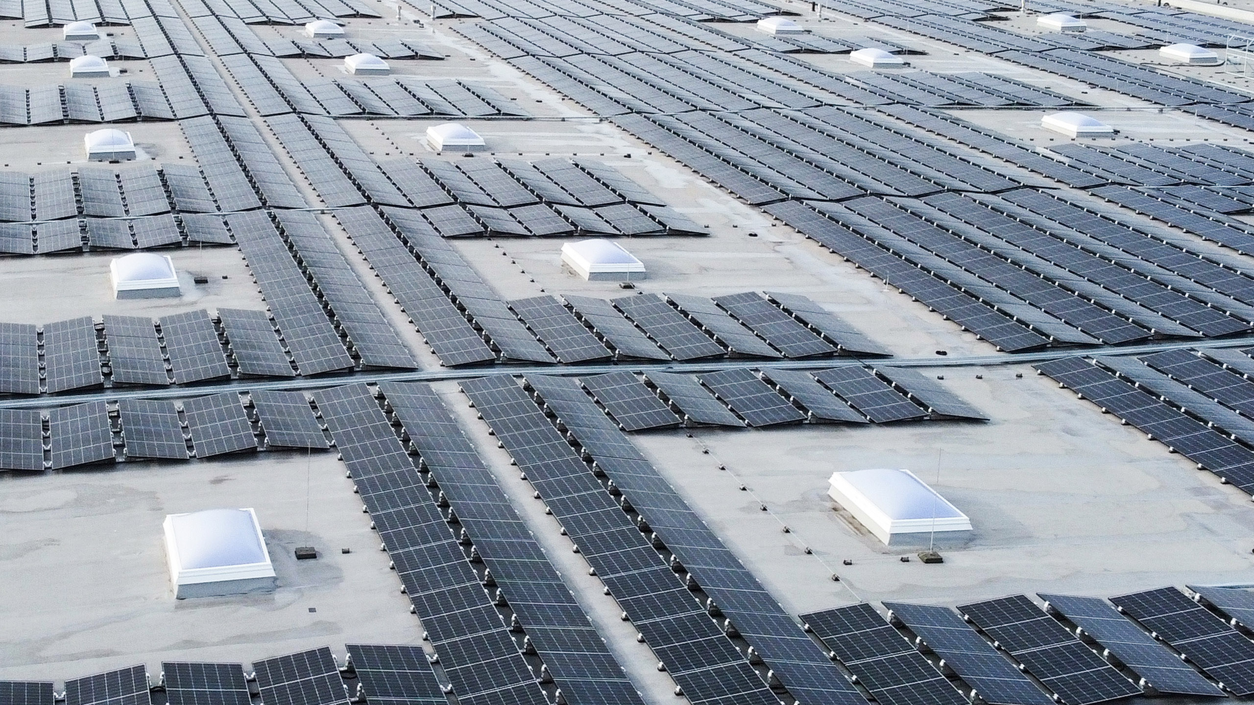 Eine große Fläche mit Solarpanelen auf einem Flachdach, unterbrochen von pecurrenten Lichtkuppeln.