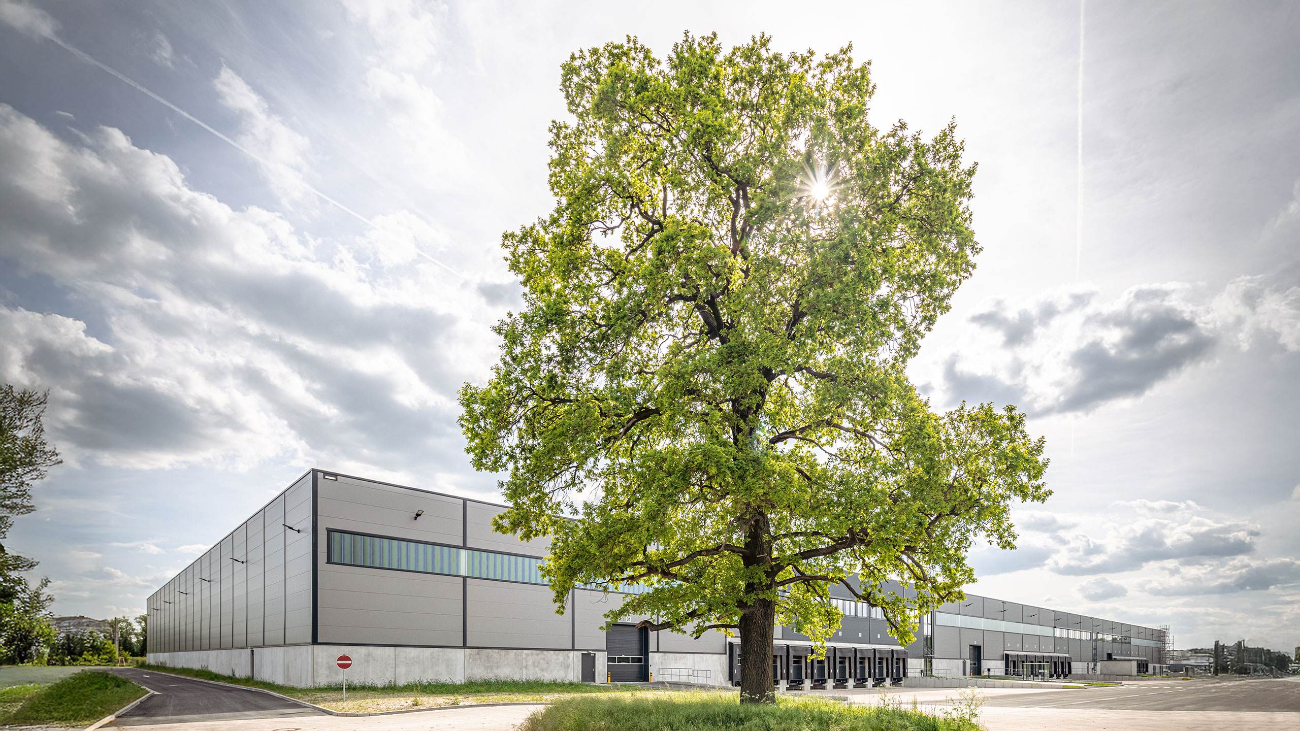 Großer grüner Baum vor einem modernen Industriegebäude unter einem bewölkten Himmel.
