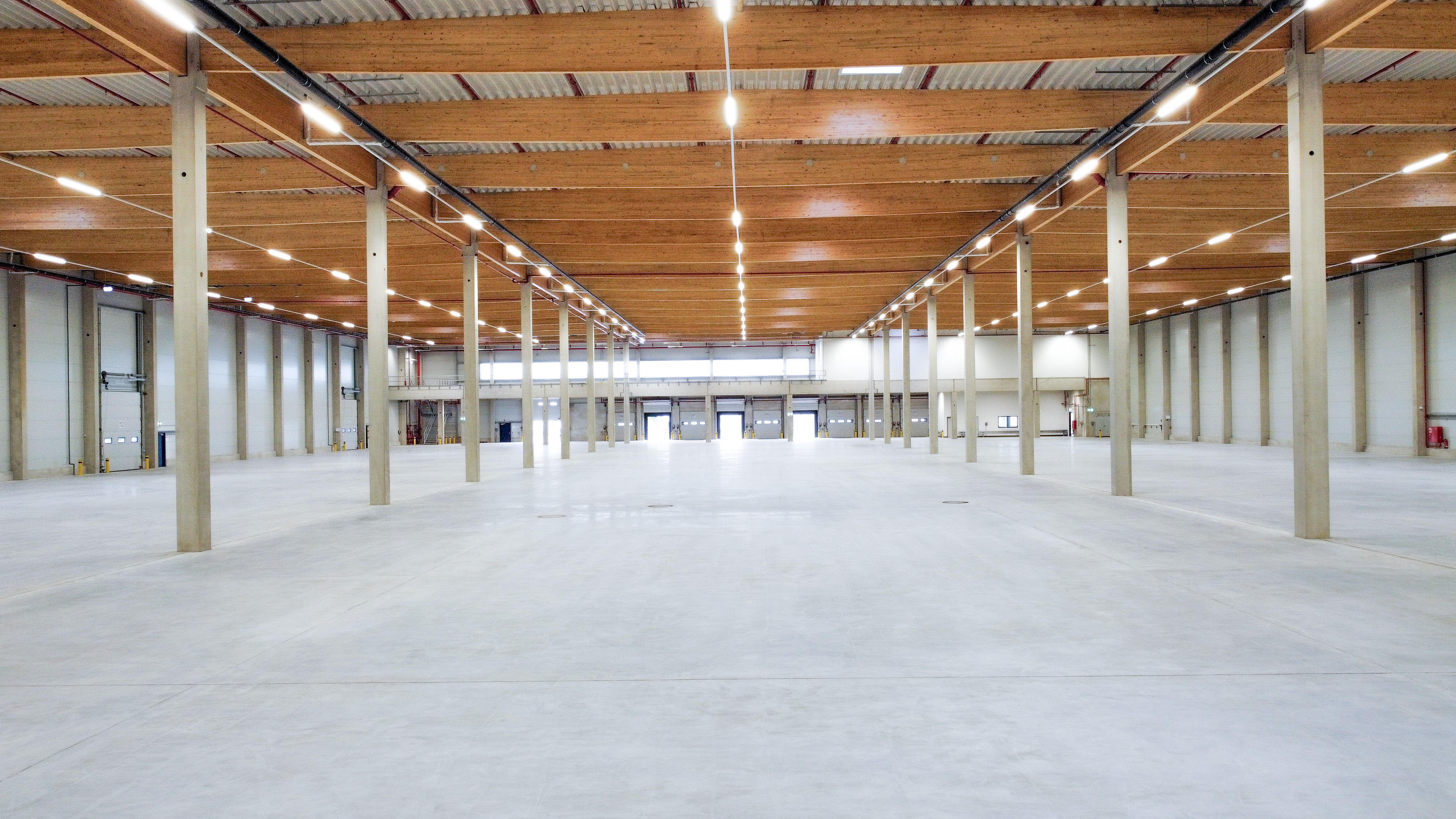 Weite Lagerhalle mit Holzdecke, Betonboden und verschiedenen Zugängen, gut beleuchtet und strukturiert durch Säulen.