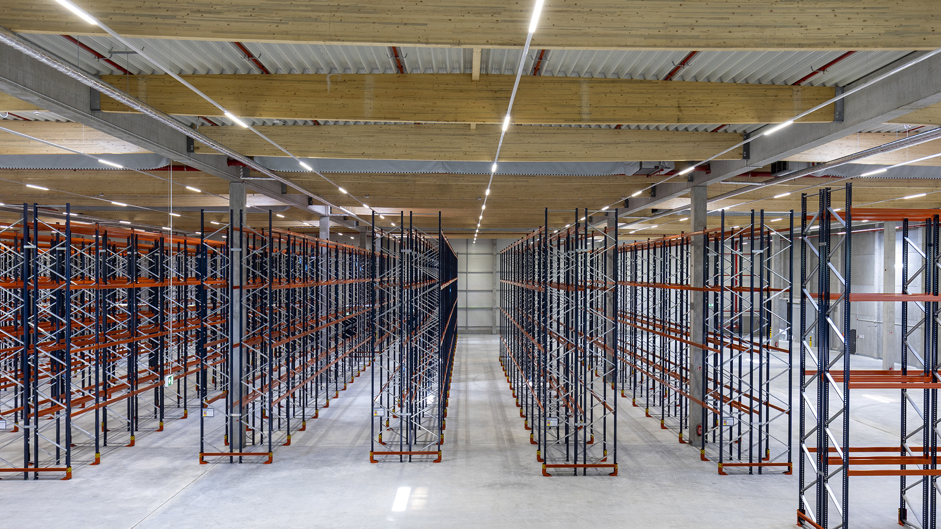 Großer Lagerraum mit mehreren Regalsystemen, hell erleuchtet, geräumig und modern gestaltet.